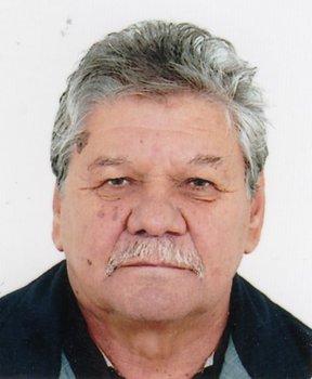 MILAN ŠEPIĆ (75)